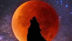  افتتاح 2026 باصطفاف فلكي نادر