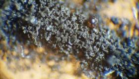 «ناسا» توقف بيع عينة غبار القمر