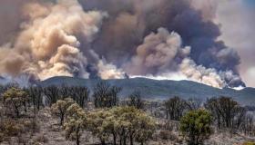 الجيش المغربي يكافح لإخماد حرائق غابات عنيفة