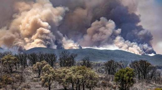 الجيش المغربي يكافح لإخماد حرائق غابات عنيفة