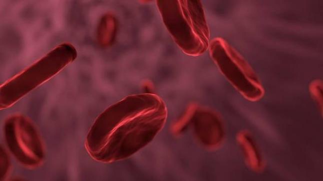 باحثون يقدمون علاجاً واعداً لمرضى نزف الدم الوراثي