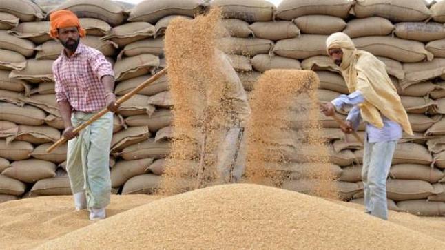 أسعار القمح الهندي تقفز لمستويات قياسية