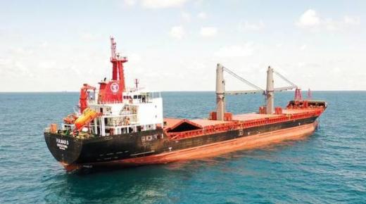 إبحار سفينتين تحملان حبوباً من أوكرانيا