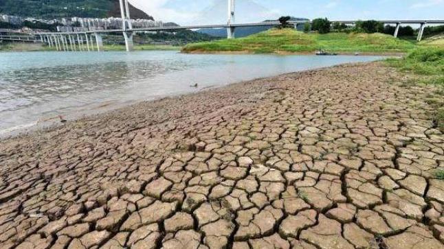 الصين تصدر أول إنذار من الجفاف وتكافح لإنقاذ المحاصيل