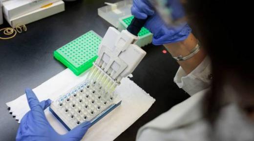 أزمة الغذاء العالمية تعزز المحاصيل المعدلة وراثياً في الأرجنتين