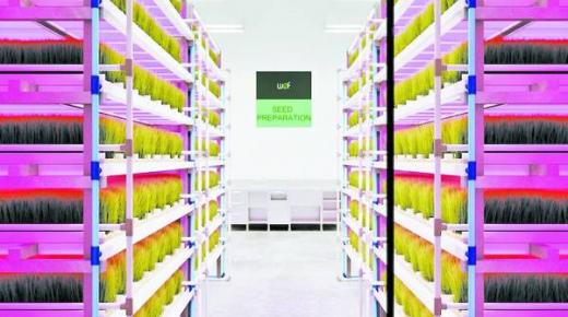 الإمارات الأولى إقلمياً والـ 26 عالمياً في «الأمن الغذائي»