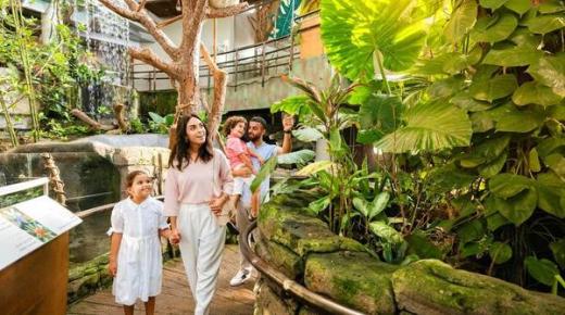 دبي تزخر بوجهات ترفيهية داخلية مميزة تقدم تجارب استثنائية متنوعة