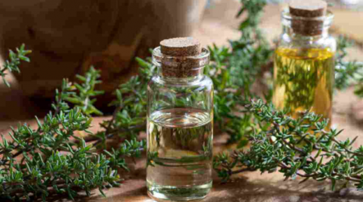 «الزعتر» كنز العناية بالبشرة والشعر