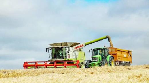 أسعار الغذاء العالمية تواصل الانخفاض للشهر الخامس على التوالي