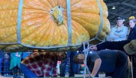 وزنها يقترب من الطن.. ثمرة قرع تحطم رقماً قياسياً