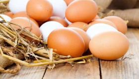 «البيض» من أهم مكونات صندوق الغذاء للطلاب