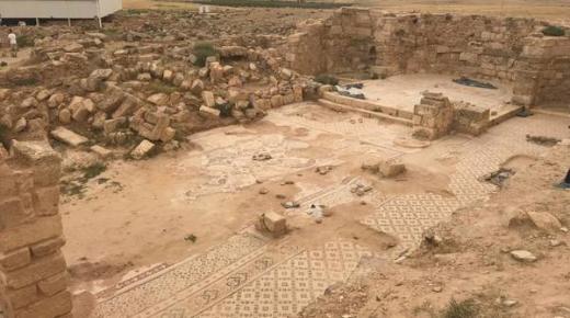 دورتان بالأردن ولبنان للمحافظة على الفسيفساء