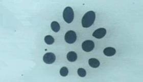 الروبوت المغناطيسي يسهل وصول الأدوية بالجسم