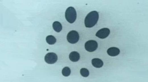 الروبوت المغناطيسي يسهل وصول الأدوية بالجسم