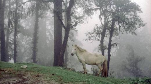 «الشارقة للفنون» تعلن الفائزين بجوائز «وجهة نظر 10»