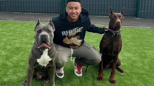 انتقاد لينجارد بسبب آذان كلبيه