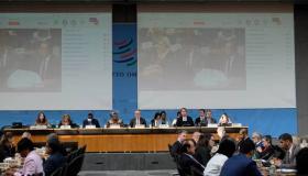 الإمارات تحث على العمل الدولي المشترك لتطوير نظام التجارة العالمي