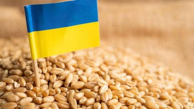 «الناتو» يحث روسيا على تمديد اتفاق الحبوب الأوكرانية سريعاً.. وغوتيريش قلق
