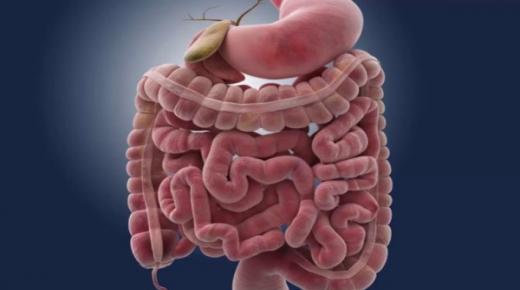 ست علامات تحذيرية لسرطان الأمعاء.. تعرّف عليها