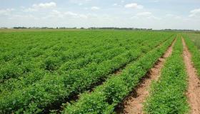 الأردن يستضيف المنتدى العالمي التاسع للأرض