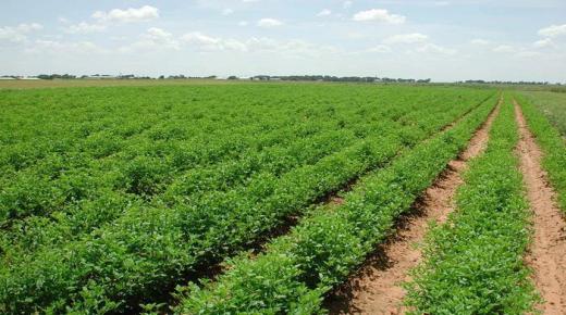 الأردن يستضيف المنتدى العالمي التاسع للأرض