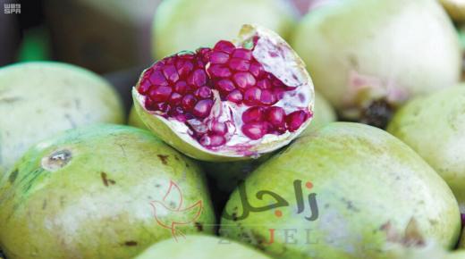 مهرجان الرمان الوطني… سيبدأ غداً “الاثنين” في منطقة الباحة بالسعودية