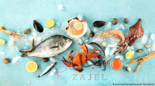 هذه هي أصناف السمك المناسبة للأطفال؟