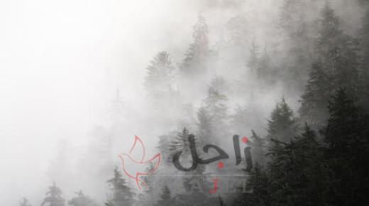 الأرصاد الجوية تحذر من تدني الرؤية في بعض مناطق المملكة بسبب الغبار