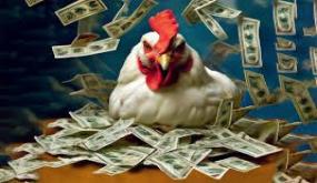 تراجع في أسعار الدواجن في السوق المحلية