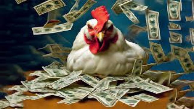 تراجع في أسعار الدواجن في السوق المحلية