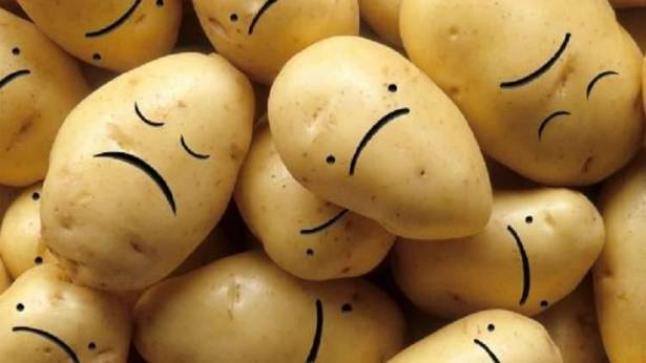 أغلبية البطاطا في العالم تعاني من “الاكتئاب الشديد”!