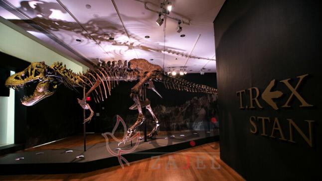 بيع “أفضل العينات المكتشفة ” لديناصور شرس عمره 67 مليون عام بسعر قياسي