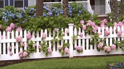 5 أنواع من الاسوار لحماية ورود الحديقة .