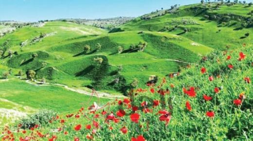 عائلات تتعرف إلى جمالية الأردن ومناطقه الخلابة…والسبب كورونا