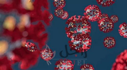 دول العربية تخوض تجربة إنتاج لقاح فيروس كورونا من بينها مصر والمغرب