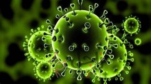 فلسطين: 108 إصابات جديدة بفيروس كورونا في قطاع غزة