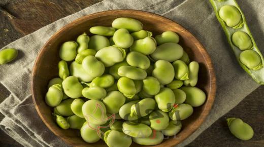 فوائد رائعة  للفول الأخضر على صحة الانسان