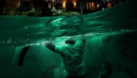 فيلم الرعب “عمار” يتصدر قائمة الأعلى مشاهدة في مصر