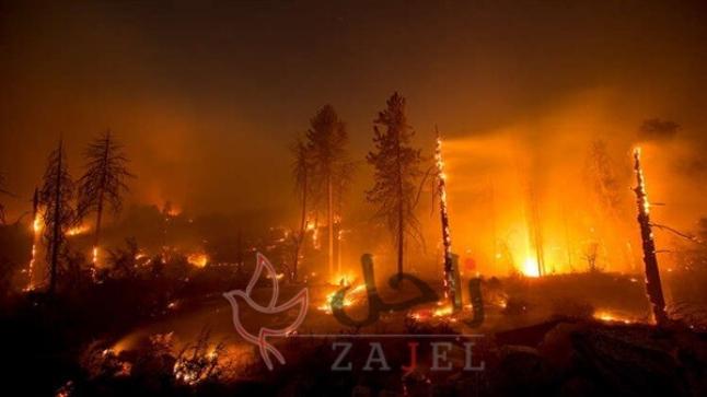 بحسب صحيفة “ذا هيل” فان جائحة كورونا تعرقل جهود مكافحة حرائق الغابات في كاليفورنيا