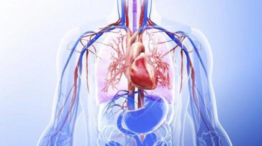 أعراض تحذر أن جسم مليء بالسموم