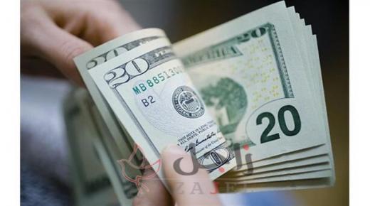 سعر العملة الخضراء يهوي