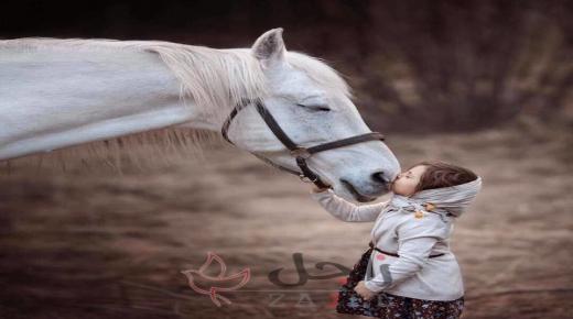 بعض الأشخاص في حياتنا وطن