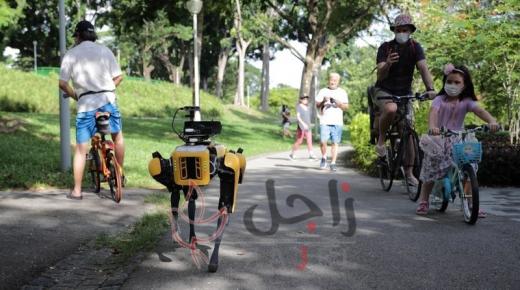 بالفيديو … الكلاب الذكية للوقاية من الكورونا