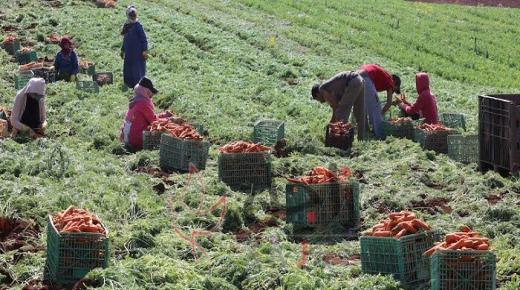 5 ملايين دينار قيمة قروض لـ660 مزارعا متضررا