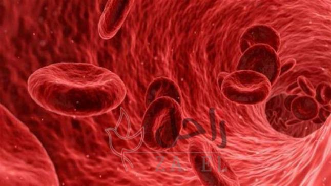 إنجاز طبي.. علاج جديد يشفي مرضى من “سرطان الدم”