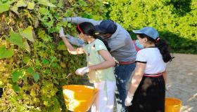 “فالكُن سِتي أوف وندورز” تختتم بنجاح فعاليات حملة ” الزراعة المستدامة”