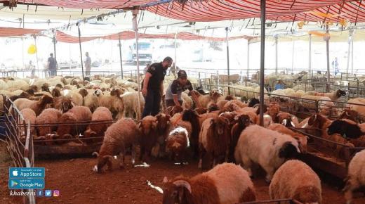 تحديد مواقع بيع الاضاحي في عمان