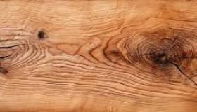 ما هي فوائد خشب الدردار، وكيف يمكن استخدامه فعلياً في الحديقة؟