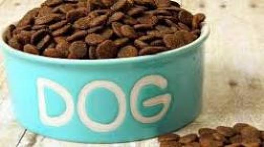 ما طعم طعام القطط؟ أنا أعرف، لقد تذوقته، أقول لك.