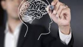 نكتة اليوم: لماذا تُعتبر عقول المسؤولين تساوي وزنها ذهباً؟